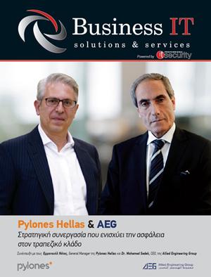 Business IT